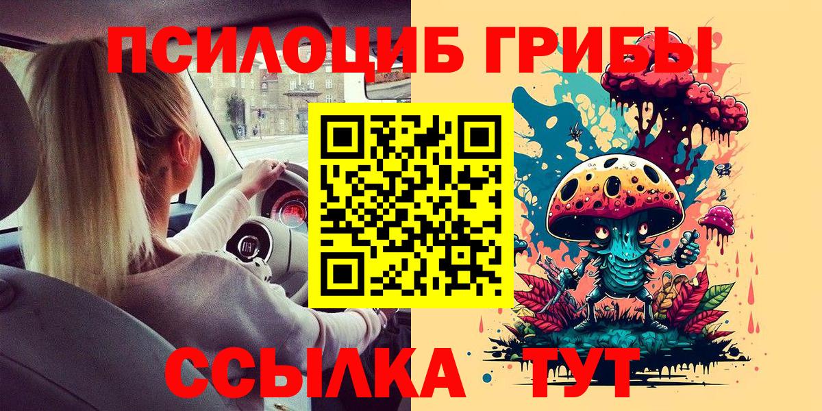 Нерюнгри  Псилоцибиновые грибы Psilocybe  Псилоцибиновые грибы GOLDEN TEACHER  Вход с VPN 